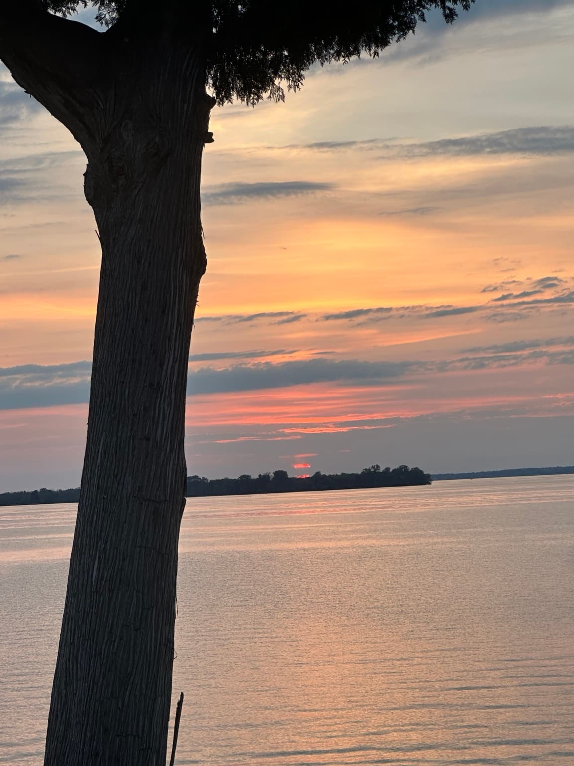 Soft sunset framed by a lakeside tree at Pillar Point Private Reserve